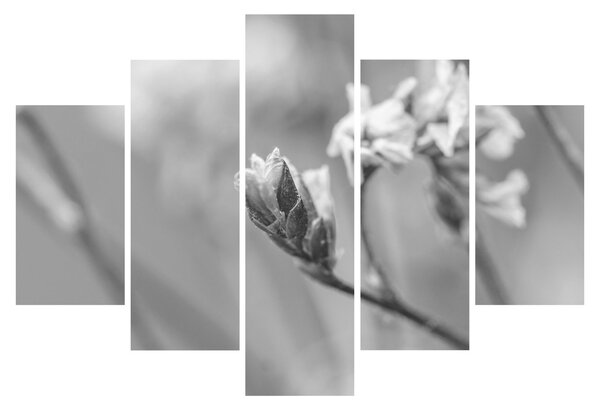 Tablou - Floare înflorită (150x105 cm)