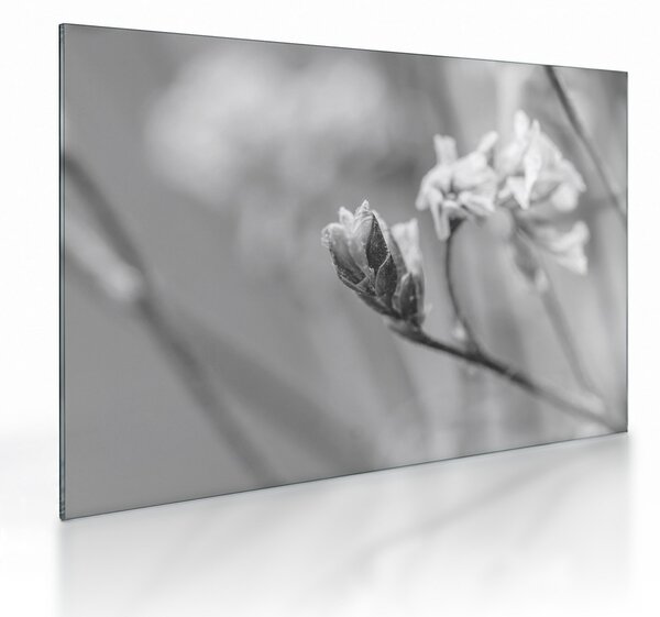 Tablou pe sticlă - Floare înflorită (70x50 cm)