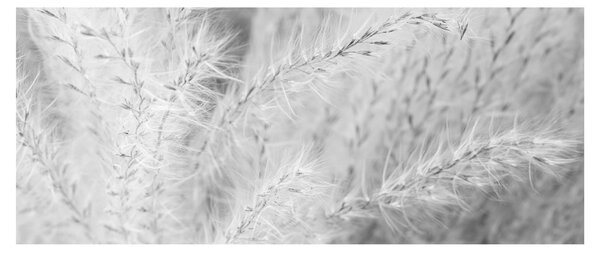 Tablou - Iarbă de pampas N⁰1 (120x50 cm)