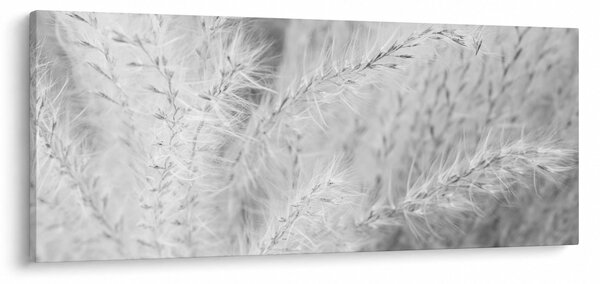 Tablou - Iarbă de pampas N⁰1 (120x50 cm)