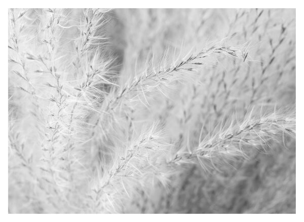 Tablou - Iarbă de pampas N⁰1 (70x50 cm)