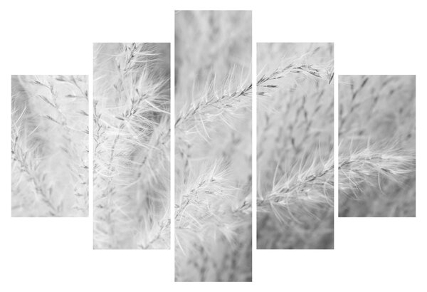 Tablou - Iarbă de pampas N⁰1 (150x105 cm)