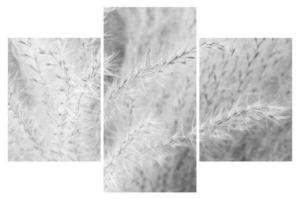 Tablou - Iarbă de pampas N⁰1 (90x60 cm)