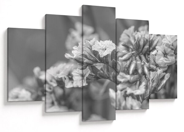 Tablou - Flori uscate (150x105 cm)