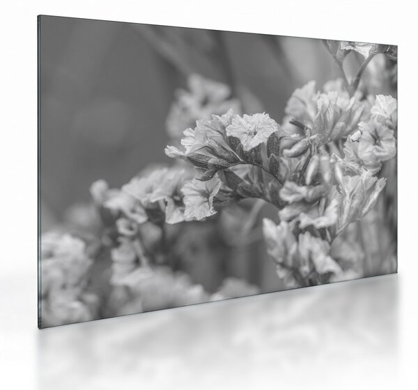 Tablou pe sticlă - Flori uscate (70x50 cm)