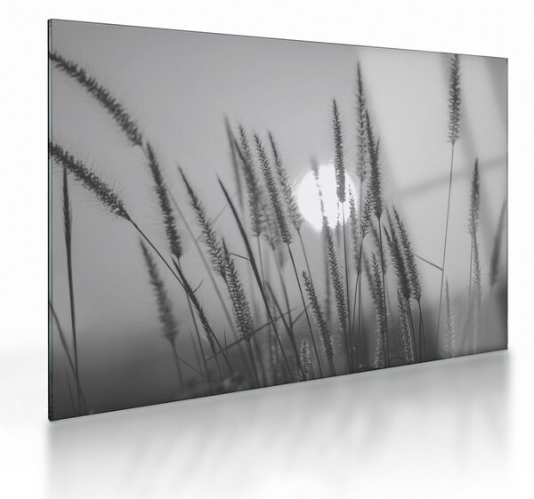 Tablou pe sticlă - Pajiște la apus (70x50 cm)