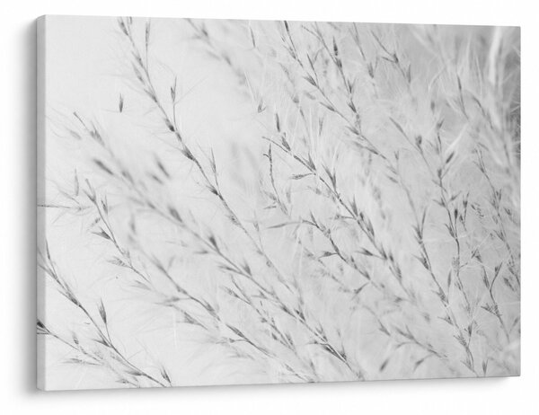 Tablou - Iarbă de pampas N⁰2 (70x50 cm)
