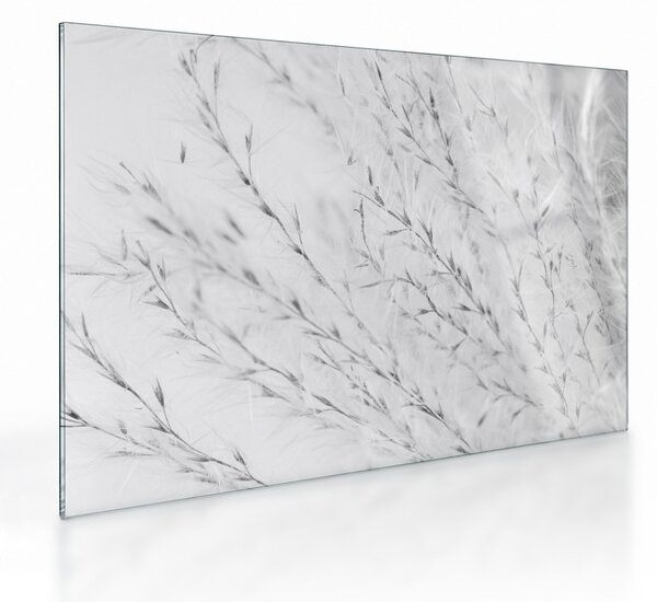 Tablou pe sticlă - Iarbă de pampas N⁰2 (70x50 cm)