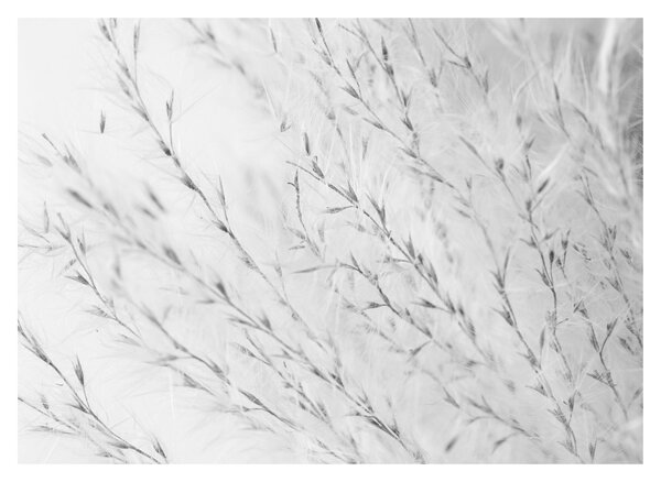 Tablou - Iarbă de pampas N⁰2 (70x50 cm)