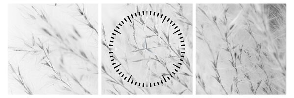 Tablou - Iarbă de pampas N⁰2 (cu ceas) (90x30 cm)