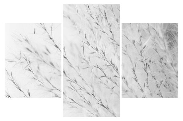 Tablou - Iarbă de pampas N⁰2 (90x60 cm)