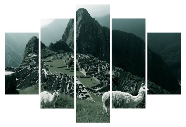 Tablou - Lamas la Machu Picchu în Peru (150x105 cm)