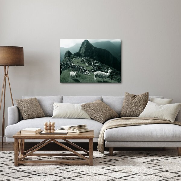 Tablou - Lamas la Machu Picchu în Peru (70x50 cm)