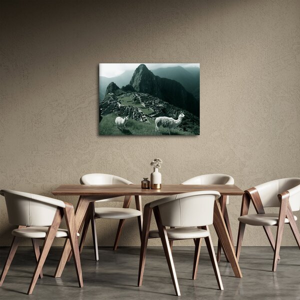Tablou - Lamas la Machu Picchu în Peru (70x50 cm)