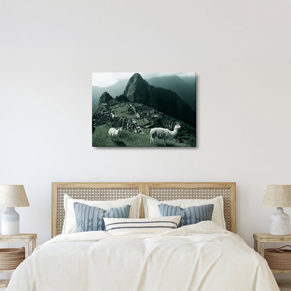 Tablou - Lamas la Machu Picchu în Peru (70x50 cm)