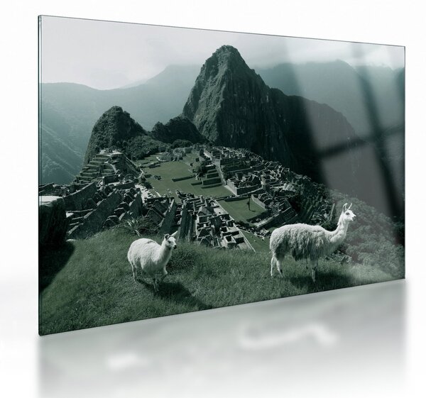 Tablou pe sticlă - Lamas la Machu Picchu în Peru (70x50 cm)