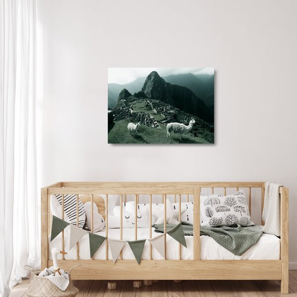 Tablou pe sticlă - Lamas la Machu Picchu în Peru (70x50 cm)