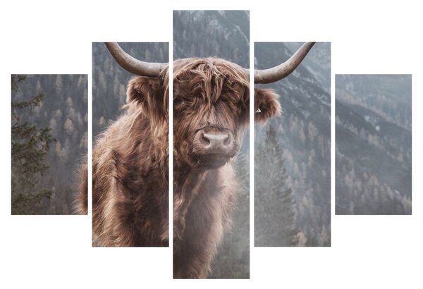 Tablou - Vaca Highlander (150x105 cm)