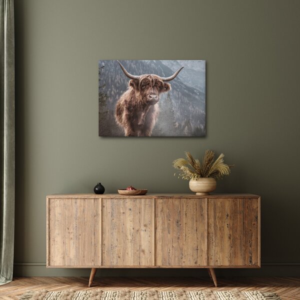 Tablou - Vaca Highlander (70x50 cm)