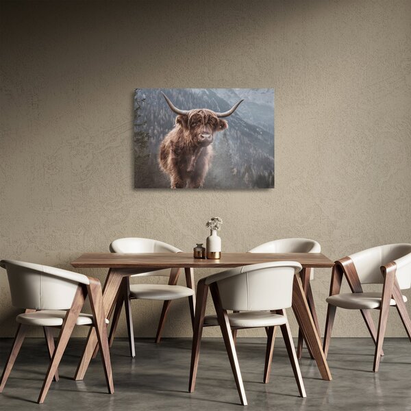 Tablou pe sticlă - Vaca Highlander (70x50 cm)