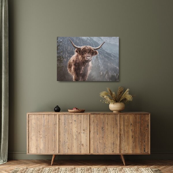 Tablou pe sticlă - Vaca Highlander (70x50 cm)