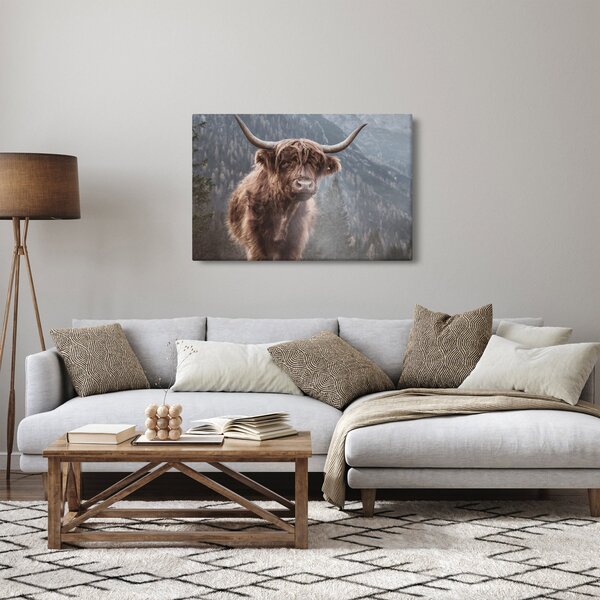 Tablou - Vaca Highlander (90x60 cm)