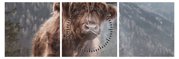Tablou - Vaca Highlander (cu ceas) (90x30 cm)