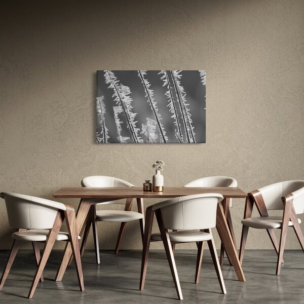 Tablou - Frig de îngheț (90x60 cm)