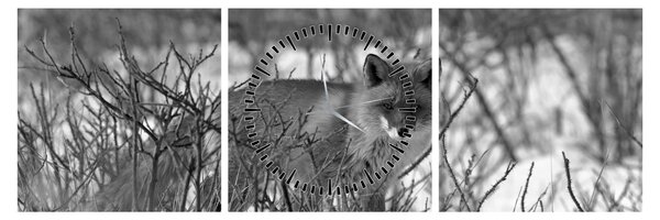 Tablou - Vulpe în timpul iernii (cu ceas) (90x30 cm)