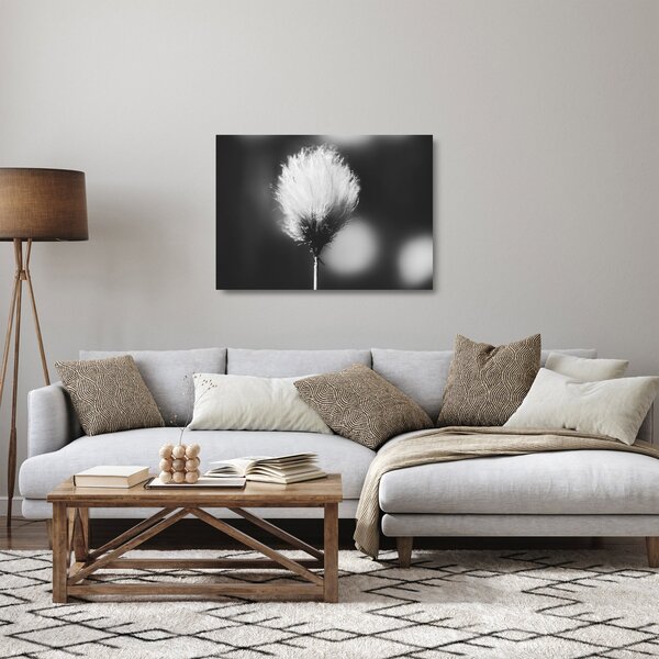 Tablou pe sticlă - Coțofană neagră și albă (70x50 cm)
