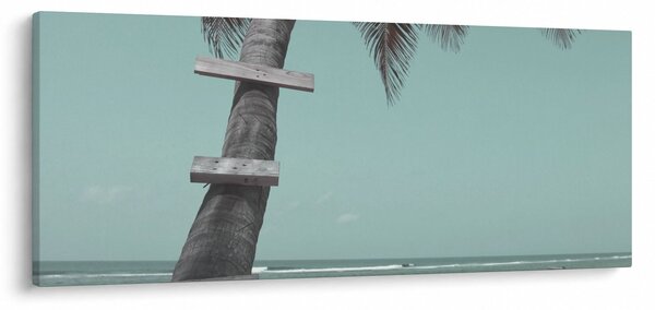 Tablou - Palma în Caraibe (120x50 cm)