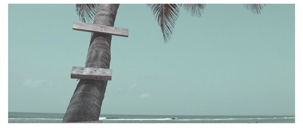 Tablou - Palma în Caraibe (120x50 cm)