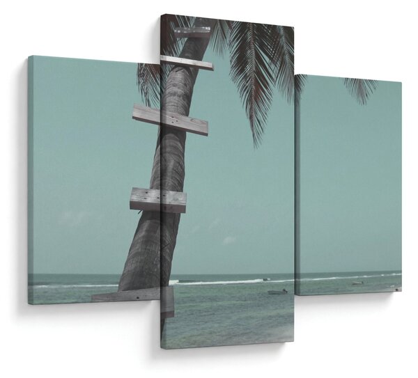 Tablou - Palma în Caraibe (90x60 cm)