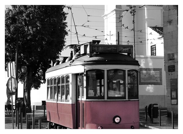 Tablou - Tramvaiul (70x50 cm)