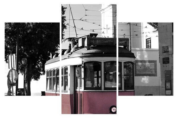 Tablou - Tramvaiul (90x60 cm)