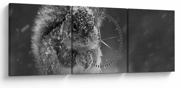 Tablou - Veveriță în timpul iernii (cu ceas) (90x30 cm)
