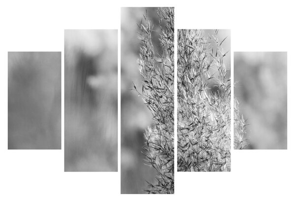 Tablou - Iarbă de pampas Boho (150x105 cm)