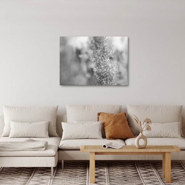 Tablou - Iarbă de pampas Boho (70x50 cm)