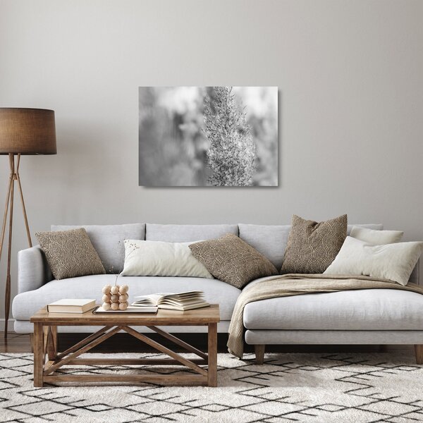 Tablou pe sticlă - Iarbă de pampas Boho (70x50 cm)