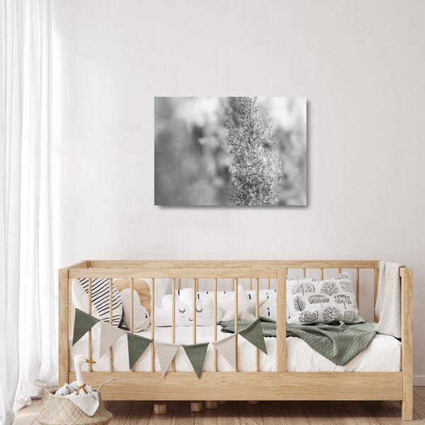 Tablou pe sticlă - Iarbă de pampas Boho (70x50 cm)