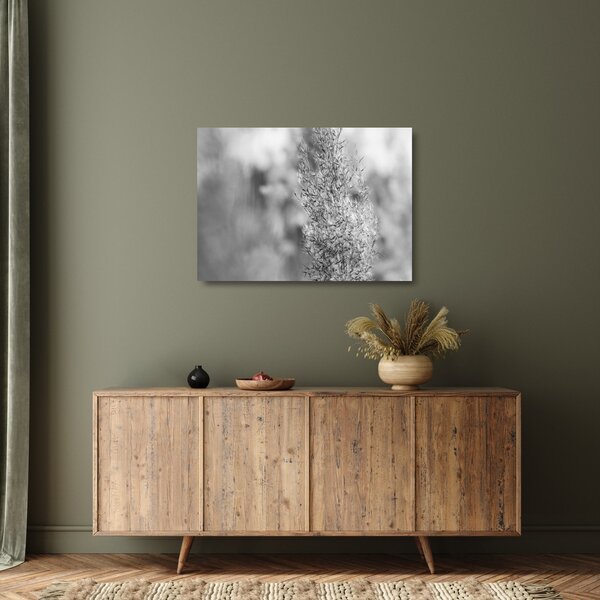 Tablou pe sticlă - Iarbă de pampas Boho (70x50 cm)