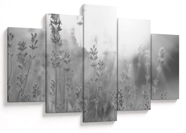 Tablou - Lavanda (150x105 cm)