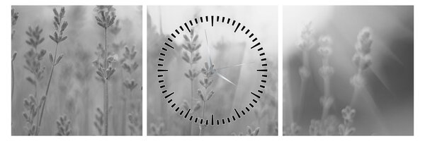 Tablou - Lavanda (cu ceas) (90x30 cm)