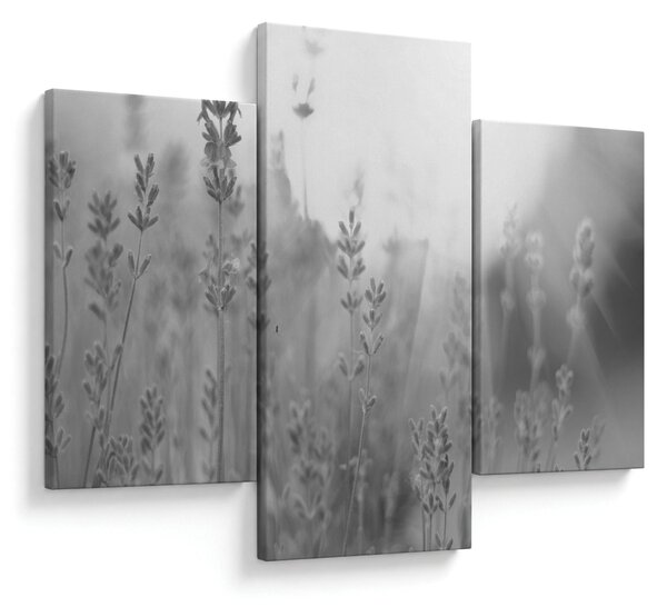 Tablou - Lavanda (90x60 cm)