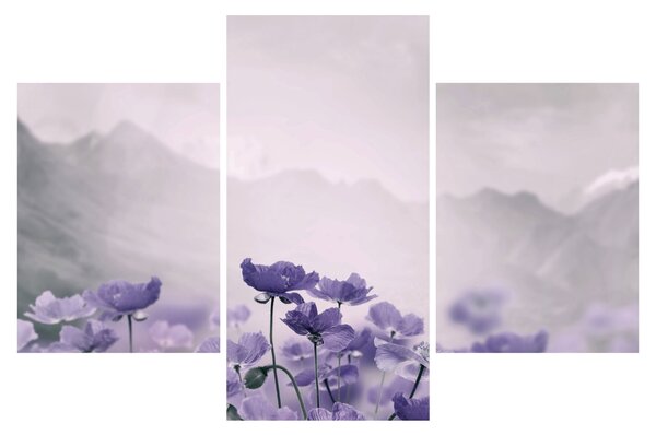 Tablou - Flori mov în munți (90x60 cm)