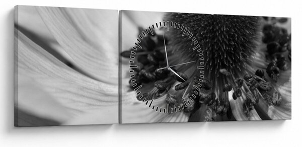 Tablou - Floare în alb-negru (cu ceas) (90x30 cm)
