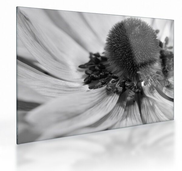 Tablou pe sticlă - Floare în alb-negru (70x50 cm)