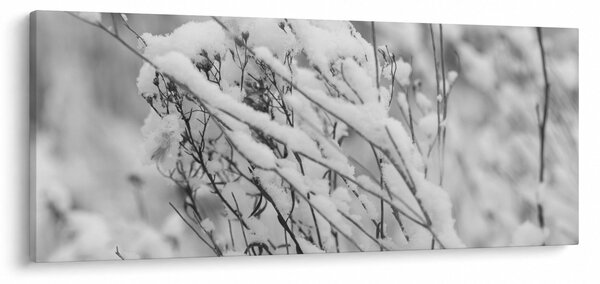 Tablou - Ramuri înzăpezite (120x50 cm)