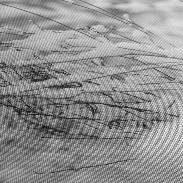 Tablou - Ramuri înzăpezite (120x50 cm)