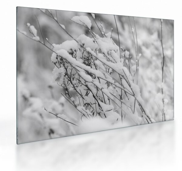 Tablou pe sticlă - Ramuri înzăpezite (70x50 cm)